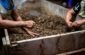 person holding brown soil in tilt shift lens