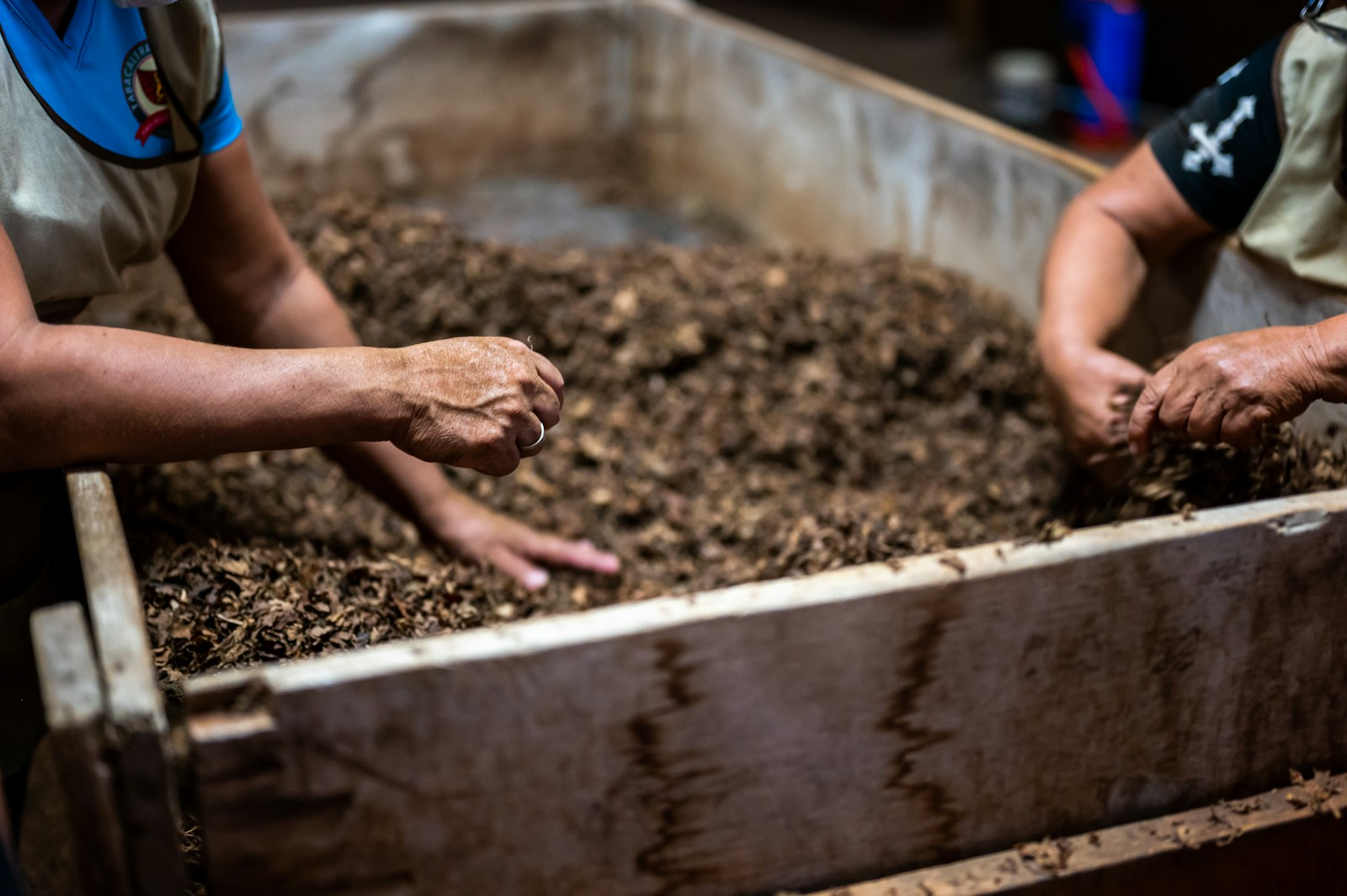 person holding brown soil in tilt shift lens