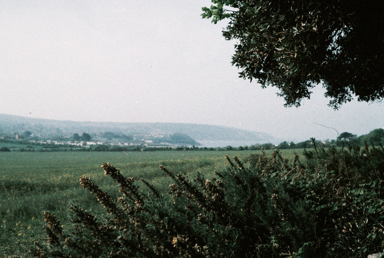 a view of a field with mountains in the distance